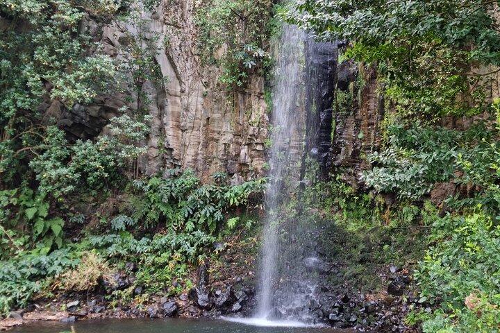 Madeira nordlige vinsmagningstur