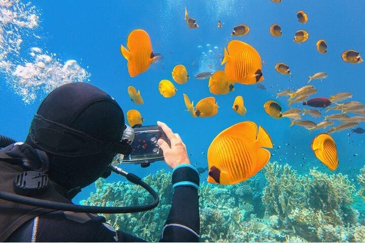 Sharm El-Sheikh : Ras Muhammed & White Island By Boat & Intro Dive
