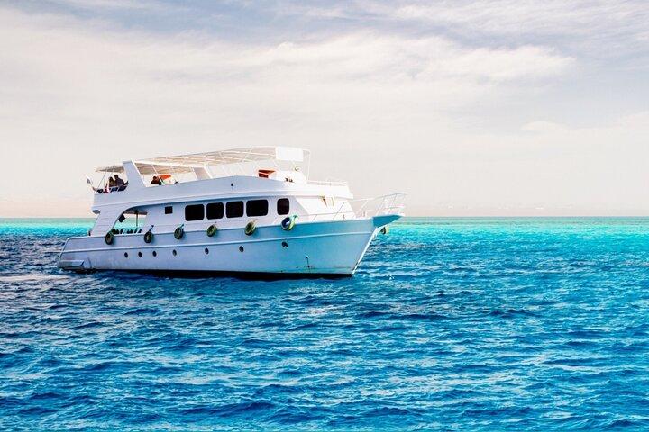 Sharm El-Sheikh : Ras Muhammed & White Island By Boat & intro Dive(シャルム・エル・シェイク:ラス・ムハンマド&ホワイト・アイランド・バイ・ボート&イントロダイブ)