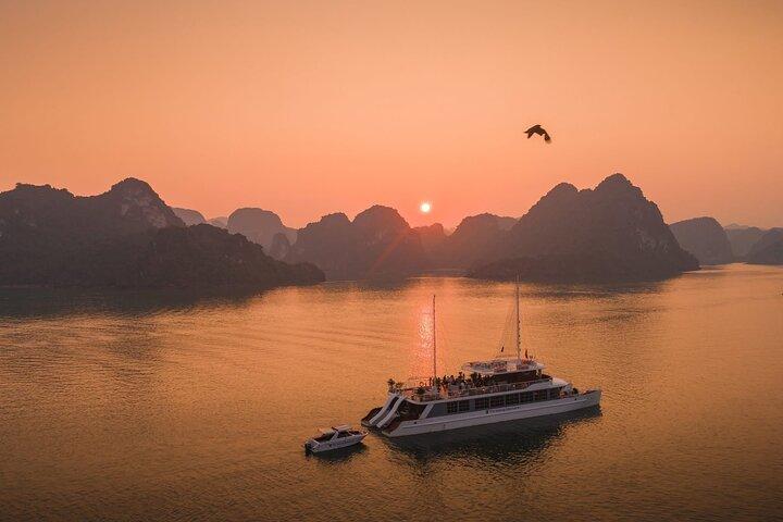 Cat Ba National Park & Lan Ha Bay Cruise 2 - Excursion d'une journée