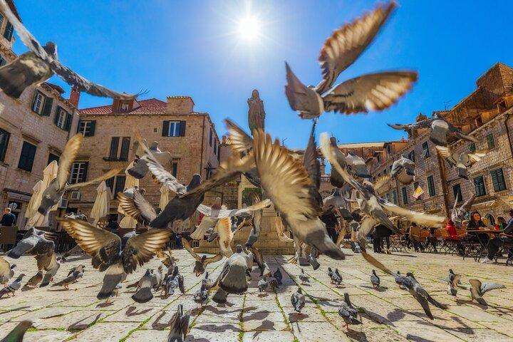 Dubrovnik City Walls Tour e Museus Multipass