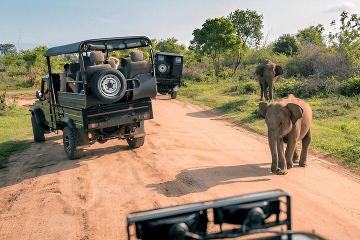 Private Tour from Ella to Unawatuna with Udawalawe Safari