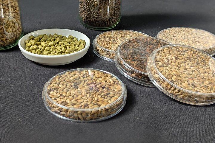 Brussels: micro brewery & distillery tour + beer tasting