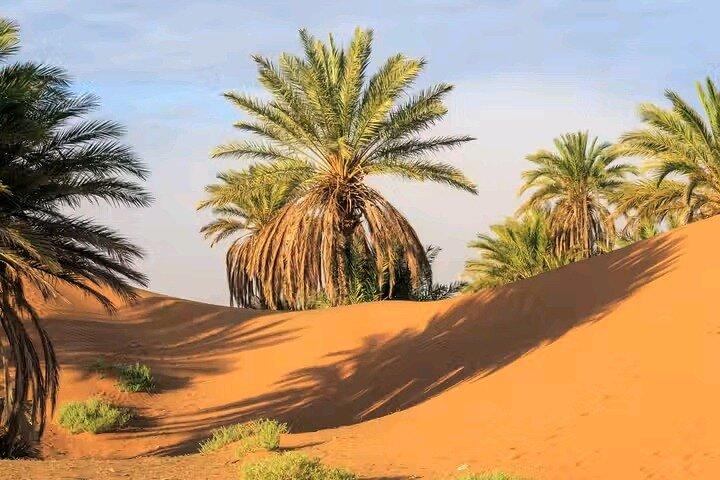 Magical 2 Day Epic Trip from Marrakech to Zagora