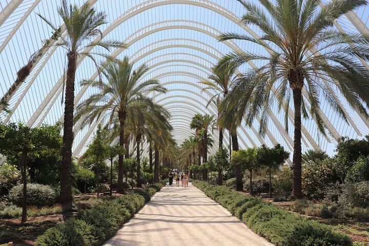 Privat Valencia Day Trip fra Barcelona med gratis billeder