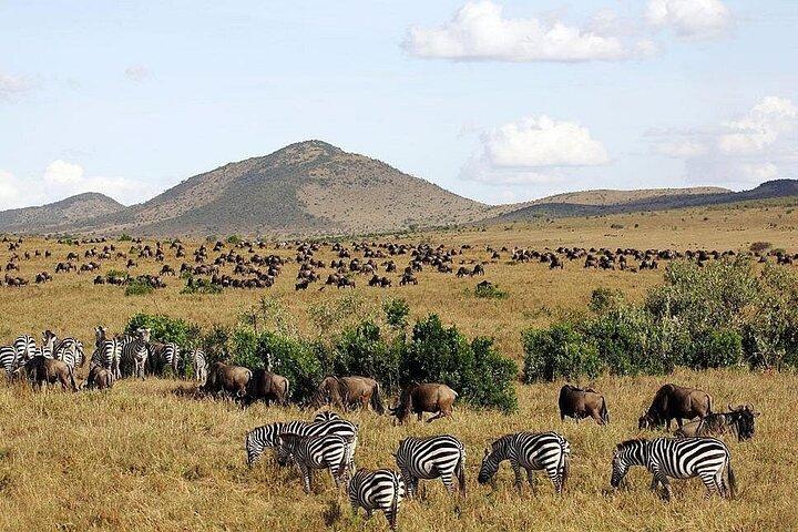 3 Tage, 2 Nächte Maasai Mara Geführte Privatsafari