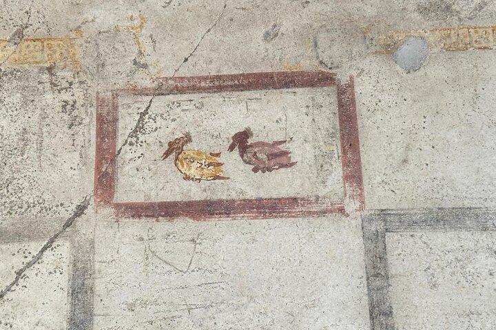 Pompeii Vesuvius en wijnproeverij uit Sorrento