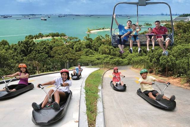Skyline Luge