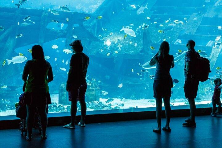 Alanya : Antalya Aquarium ticket met optionele transfer