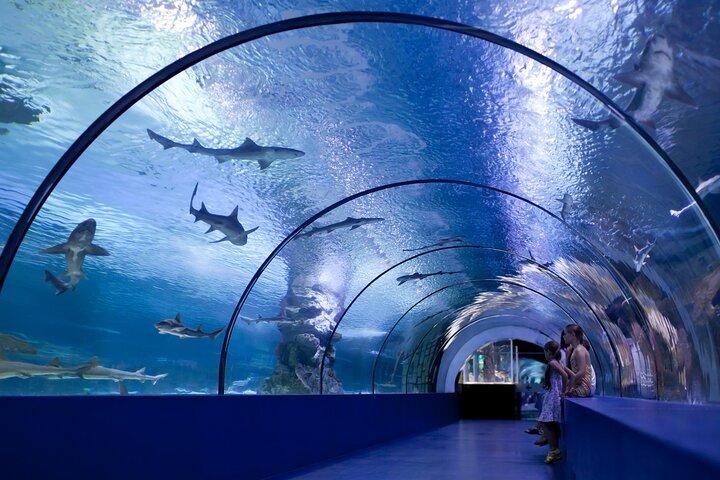 Alanya : Antalya Aquarium ticket met optionele transfer