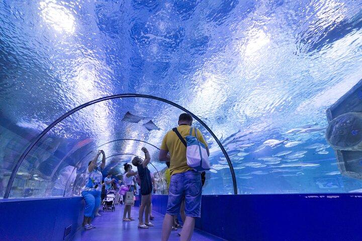 Alanya : Antalya Aquarium ticket met optionele transfer