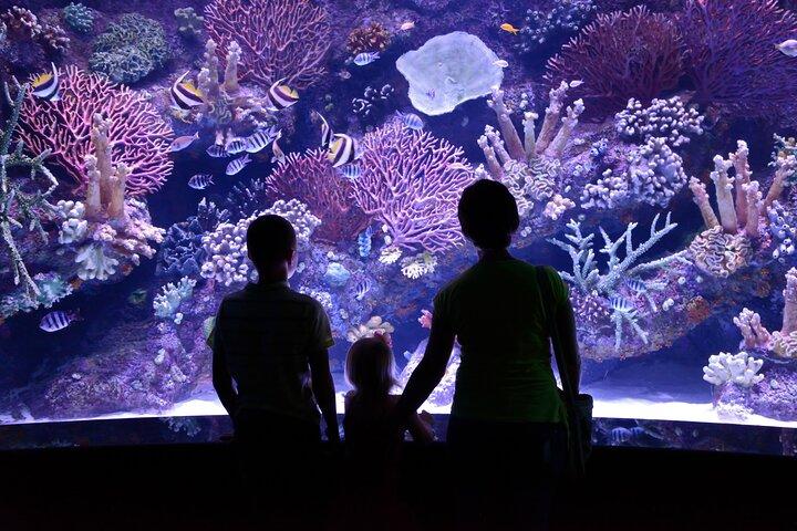 Alanya : Antalya Aquarium ticket met optionele transfer