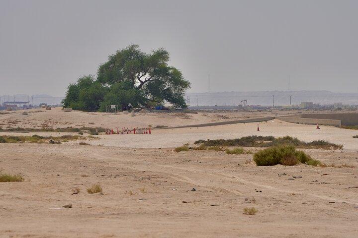 Manama : Une excursion d'une journée du sud au nord pour découvrir Bahreïn