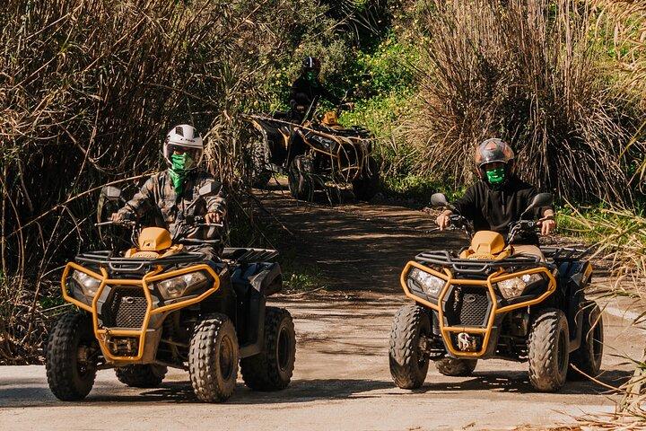 2 ore di avventura guidata in quad / ATV a Mijas, Malaga