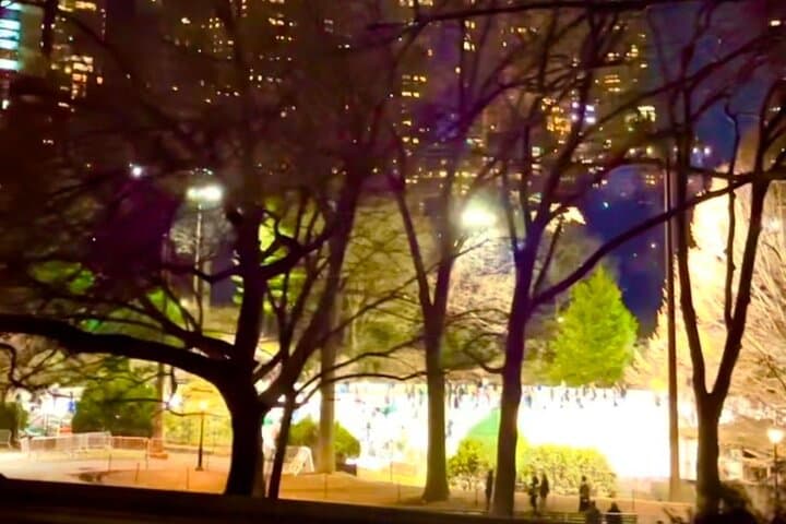 Central Park Moonlight Tour with Photo (45 min) ~ Skip the line