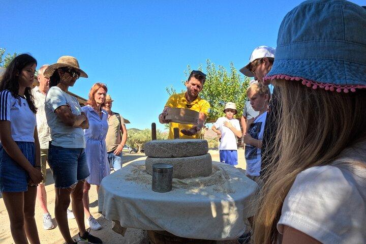 Excursão de jipe de dia inteiro com aula de culinária