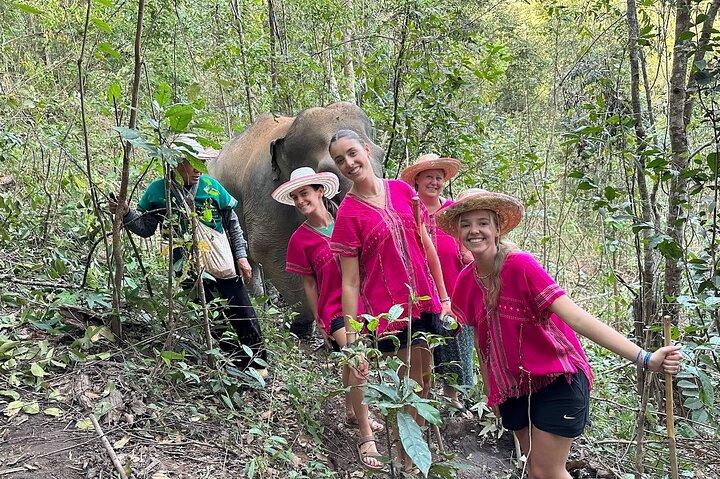 Ethical Elephant Observation Half Day from Chiang Mai