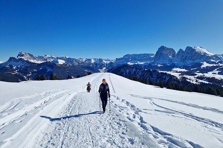 Dolomites of Bolzano Winter Hiking & Sledding Experience