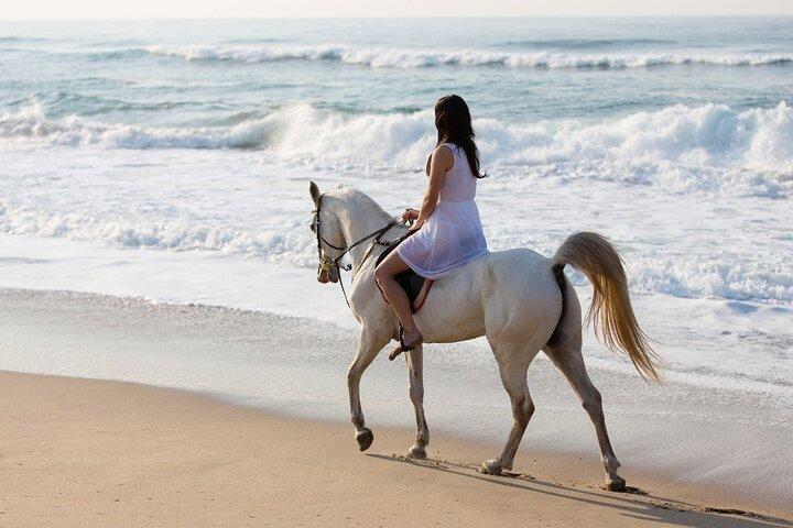 Black Sand Beach Horseback Riding Experience