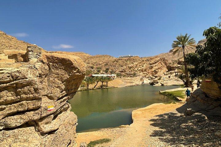 Desert Wonder e Oasi Wadi Bani Khalid