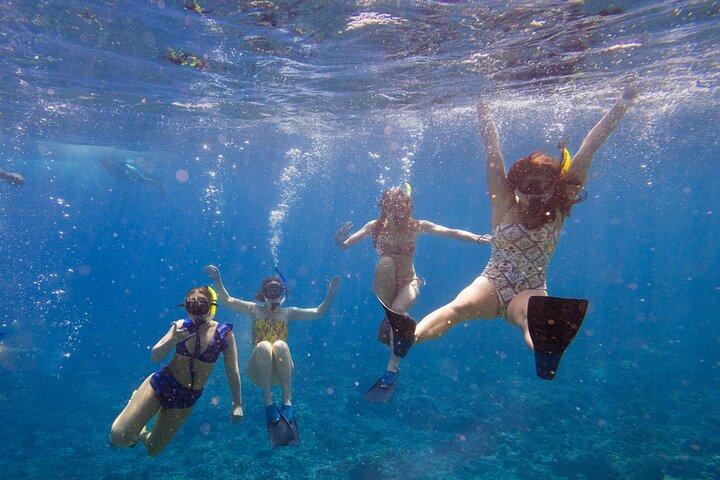 Anmeldelser af Molokini Snorkel & Performance Sail: Mā’alaea Harbor