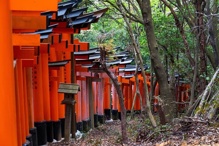 Osaka/Kyoto: Arashiyama, Fushimi Inari & Nara Park Day Trip