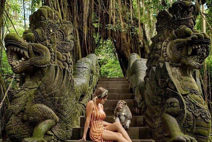Excursão de dia inteiro de Bali em Ubud com guia privado - All Inclusive