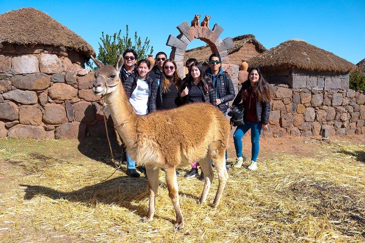 Tour a Sillustani da Puno con Laguna Umayo