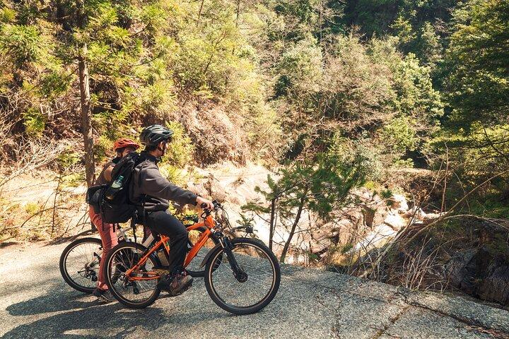 Inaka mad og Ebike tur i Yuki