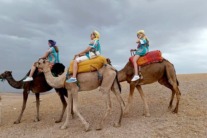 Agadir Camel or Horse Ride – Scenic Desert Adventure