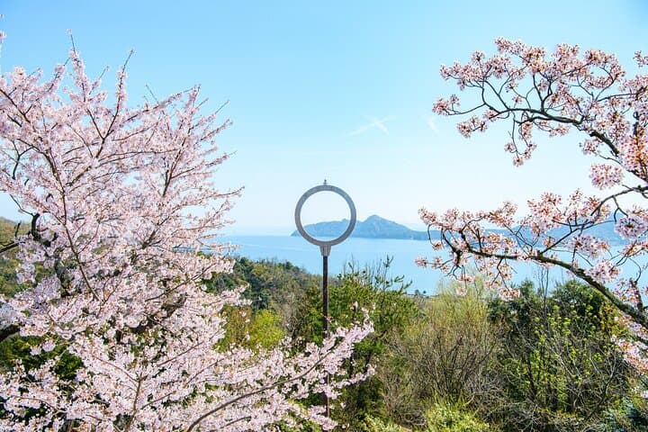 Kyoto Amanohashidate and Ine No Funaya Tour from Osaka