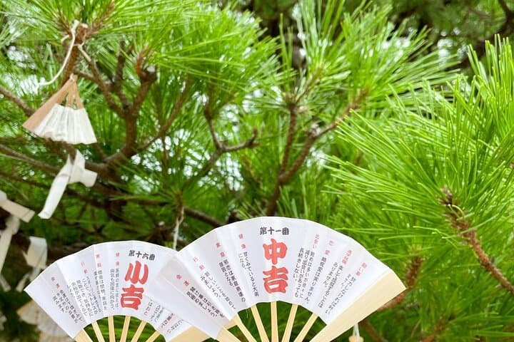 Kyoto Amanohashidate and Ine No Funaya Tour from Osaka