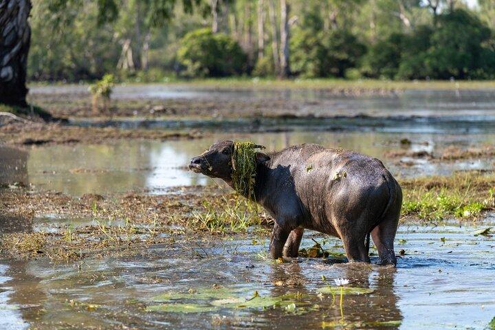 2-dagars Kakadu Höjdpunkter Tour