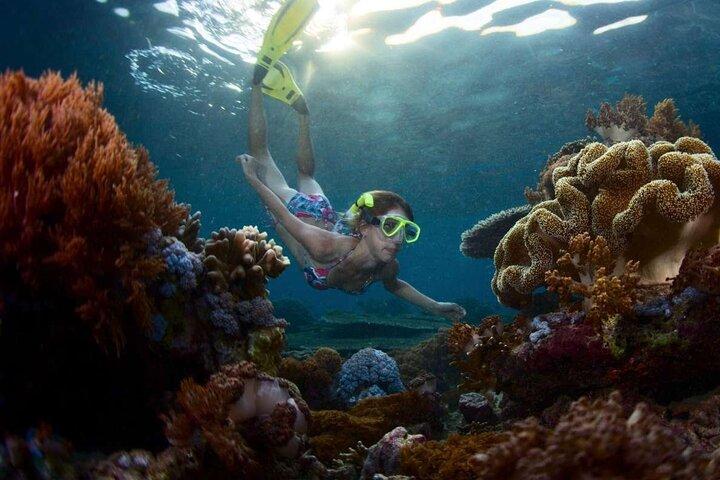 Snorkel con Mantarrayas en Nusa Penida