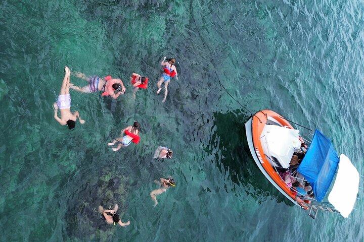 Roatan Sloth Park, Stadtrundfahrt und Schnorcheln