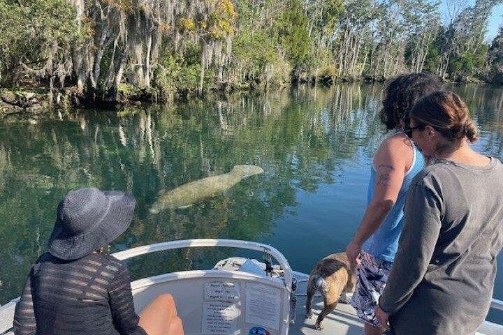Descubra os segredos de Crystal River com passeio de barco privado