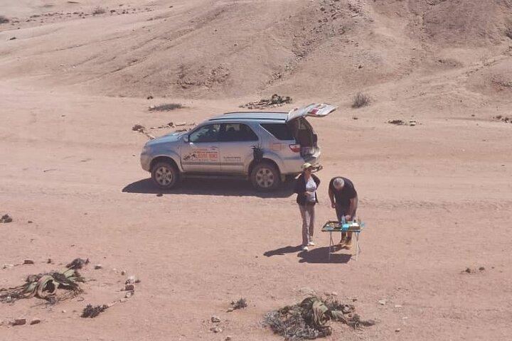 Welwitschia e Sandwich Harbour Tour