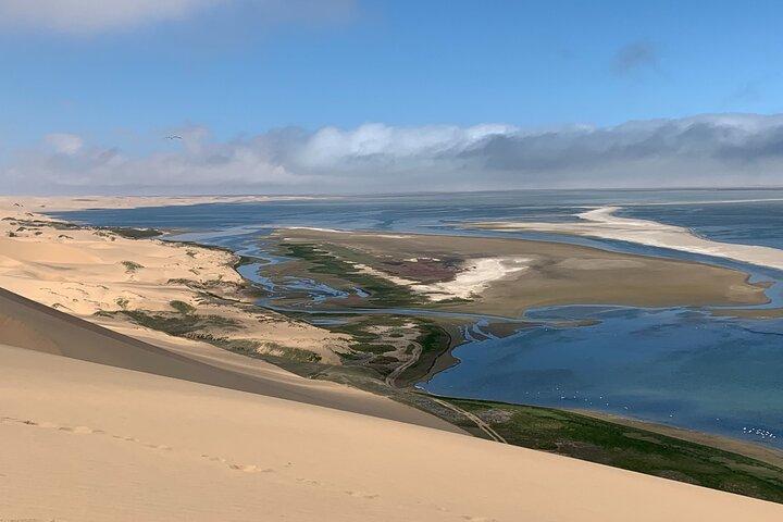 Welwitschia e Sandwich Harbour Tour