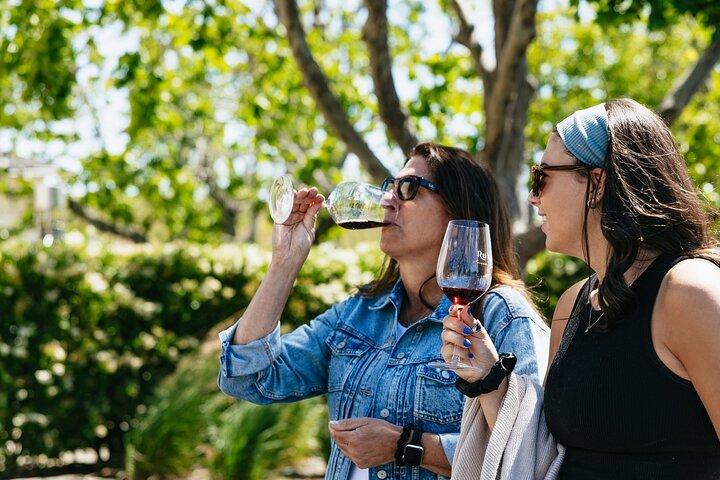 Tour di degustazione di vini e cibi della Napa Valley da San Francisco