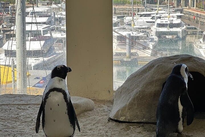 Ocean Aquarium and Harbour Cruise Tour with Transportation