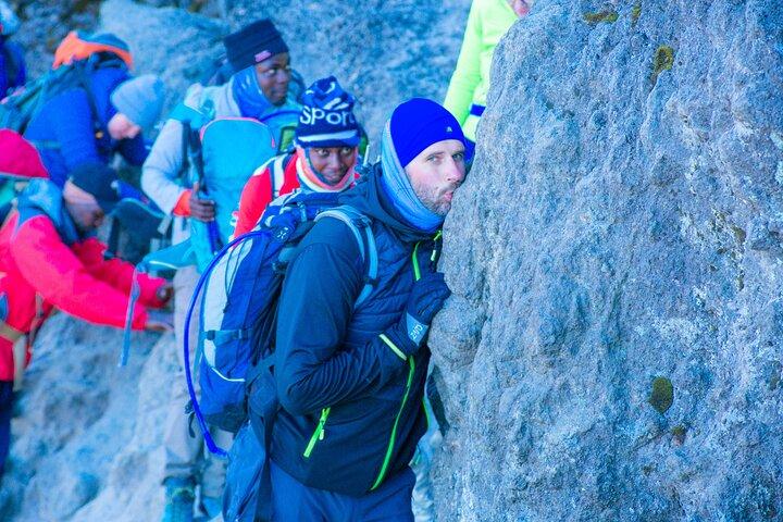 8 Dage Kilimanjaro Climb Gruppe Deltagelse Tour via Lemosho Route