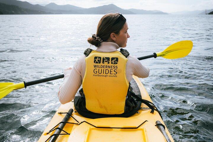 Picton Morning Guided Kayak con tour pomeridiano in barca