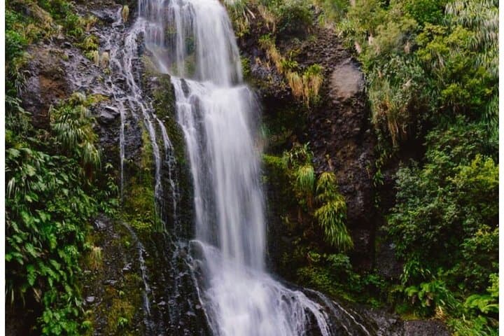 Private Piha Beach, Rainforest Adventure & Mt. Eden with Guide