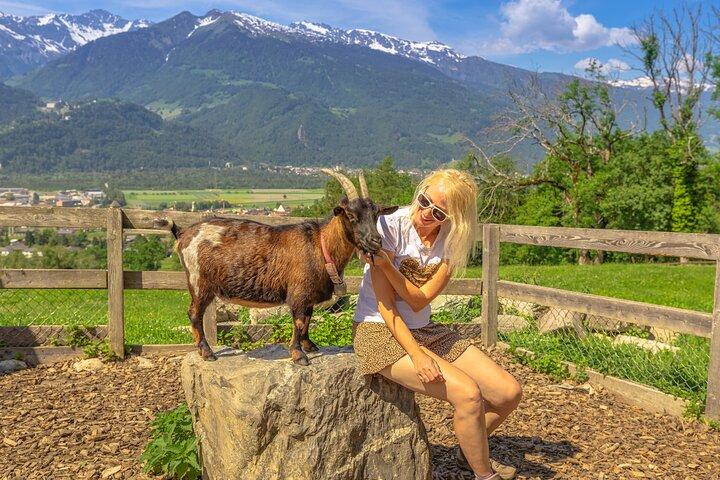 チューリッヒからハイジランドとファドゥーツへのプライベート日帰り旅行
