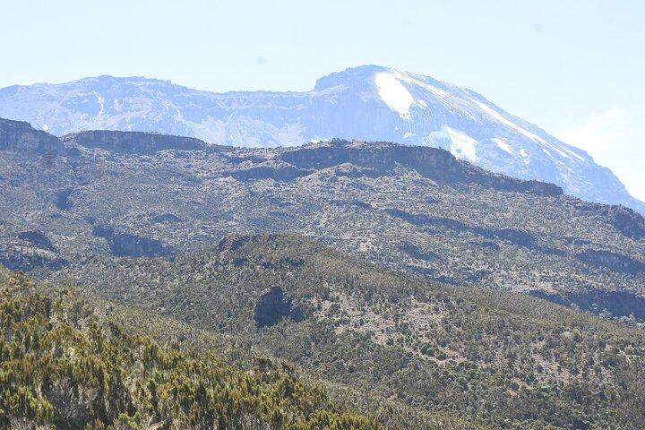 6 dagars privat Machame Route Tour