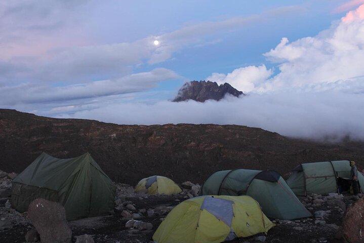 6 dagars privat Machame Route Tour