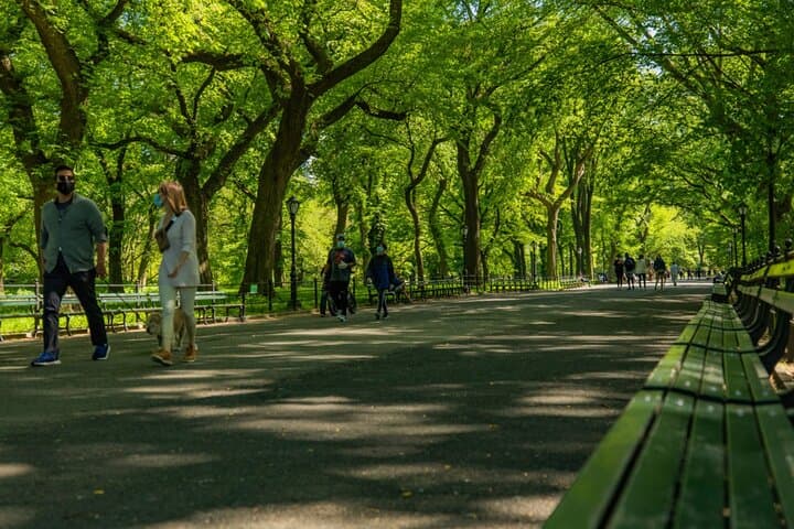 Central Park Guided Tours Pedicab