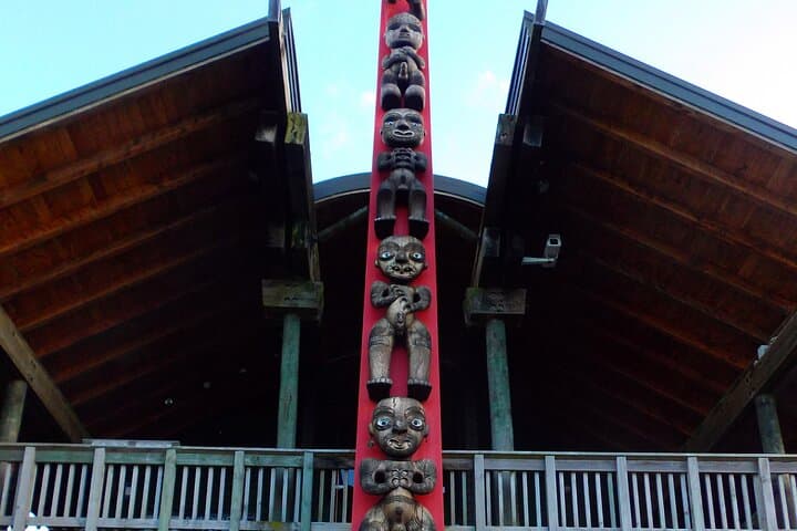 Private Piha Beach, Rainforest Adventure & Mt. Eden with Guide