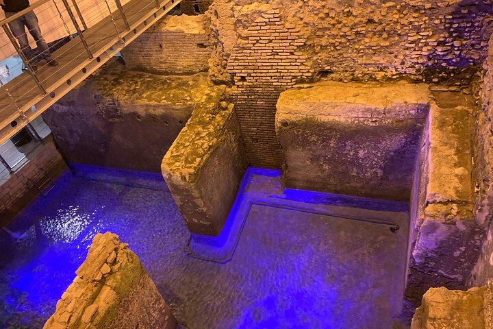 Roma : Recorrido por la Fontana di Trevi y sus secretos subterráneos + Ebook