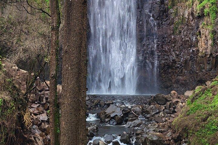 Explore Materuni Waterfalls and Coffee 1 Day Tour